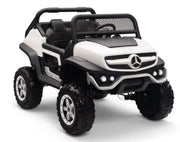 Mercedes Benz UNIMOG image 2