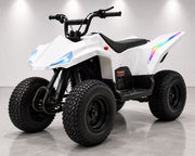 Mini Quad Pro image 1