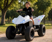 Mini Quad Pro image 3